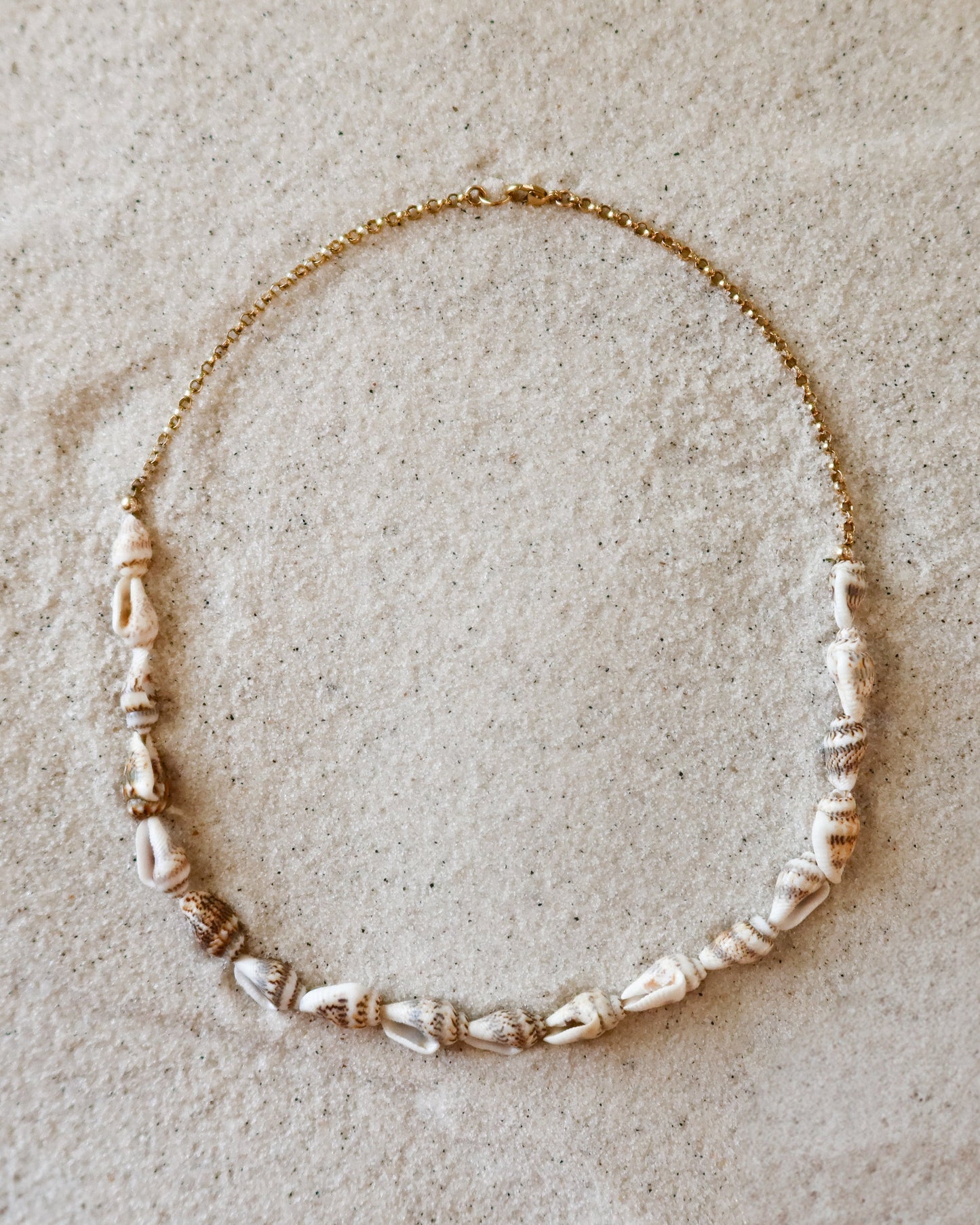 Half Moon Shell Necklace