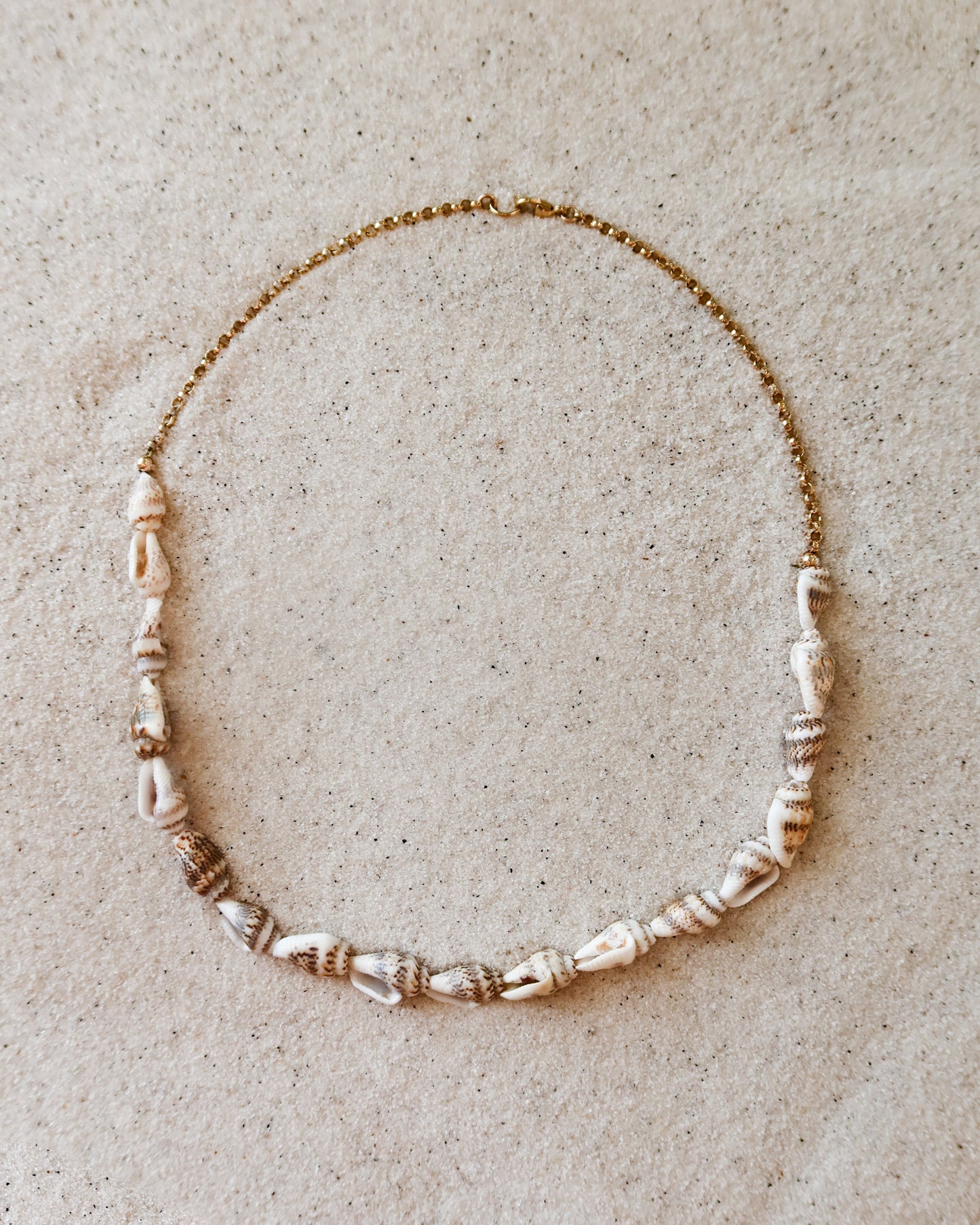 Half Moon Shell Necklace