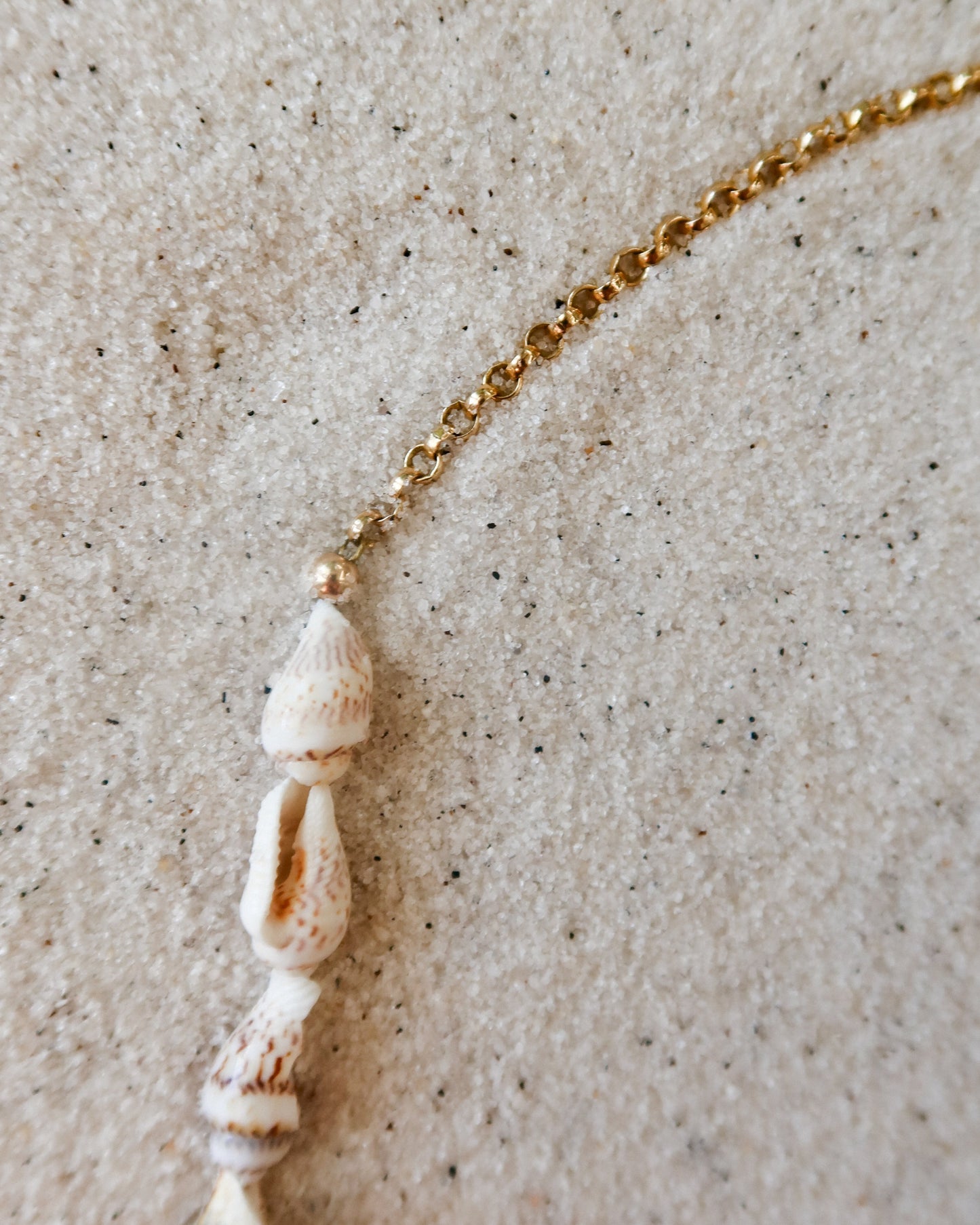 Half Moon Shell Necklace