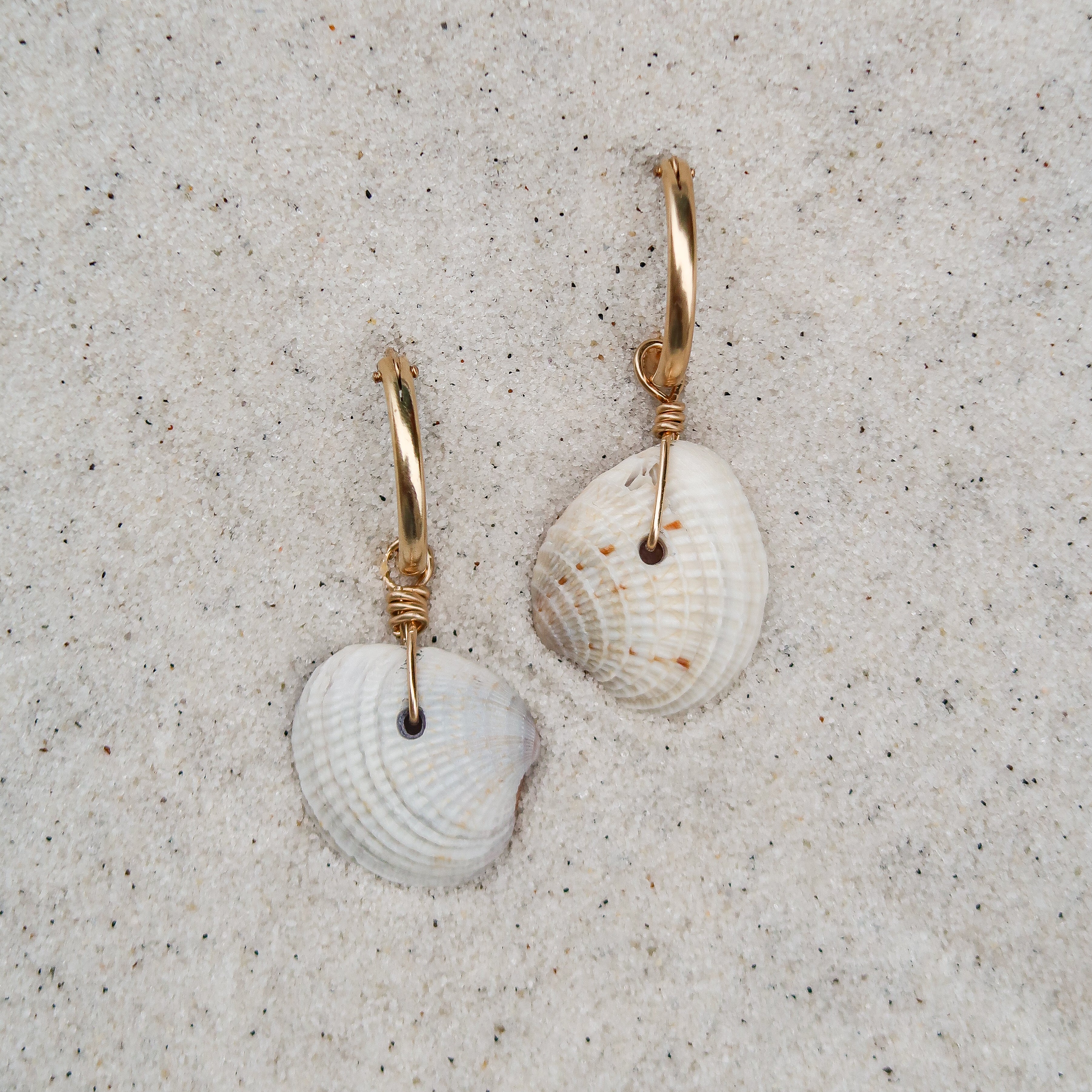 Buy Sea Shell Earrings For Girls and Womens (Pack of 10) Hand Crafted Beach  Earrings Set For Women, Conch Shell Earring at Amazon.in